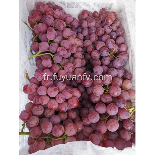 Yunnan: baisse des prix du raisin